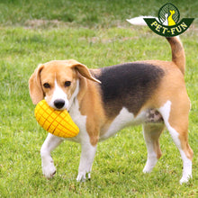 Load image into Gallery viewer, Mango Boredom Slow Feeder Dog Chew Toy (size variations)
