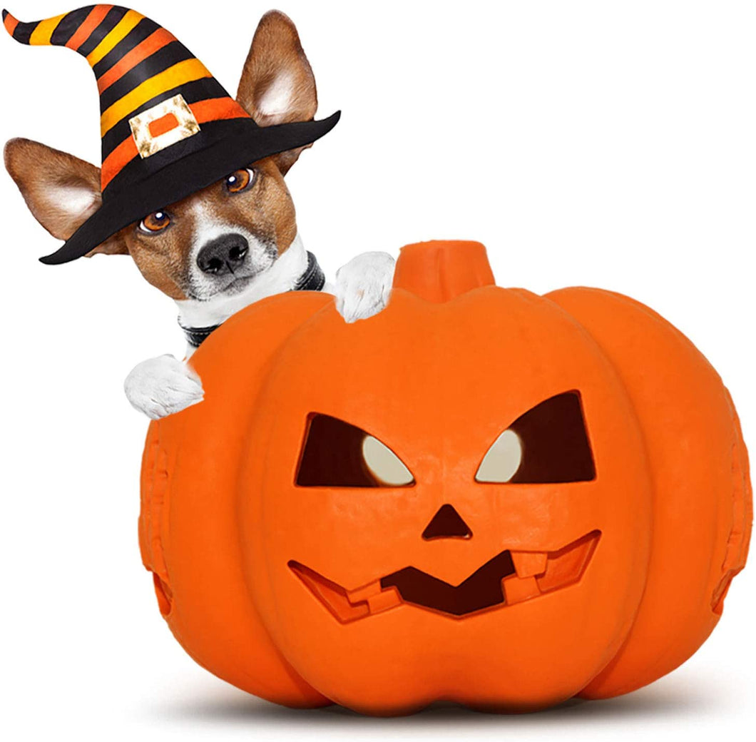 Pumpkin Chew Toy and Treat Dispenser, good for tooth cleaning